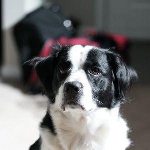 Meet your Posher, Avril